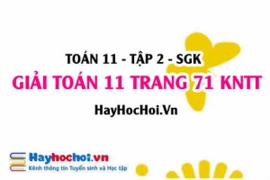 Giải Toán 11 trang 71 tập 2 Chân trời sáng tạo